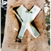 tree doorway #4