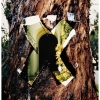 tree doorway #3