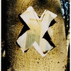 tree doorway #1