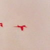 progression 1,2,3,4 (detail)