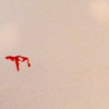 progression 5,6 (detail)