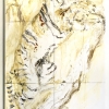 84" x 44" x 1.5"