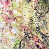 48" x 24" x 2"