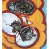 6" x 4" x 1", wood panel