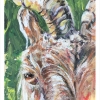 6" x 4" x 1", wood panel