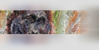 1_blurs3.jpg